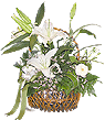 Flower Arrangement: FW036
